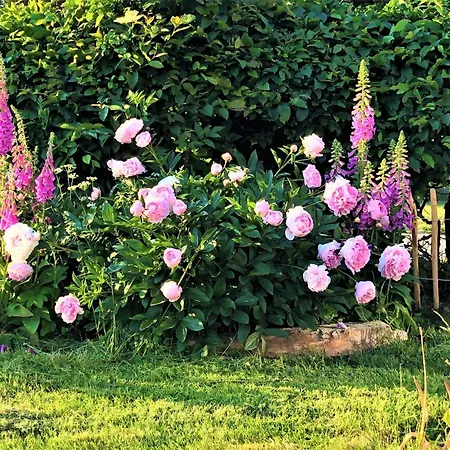 Wiesenblick In Apartamento Suthfeld