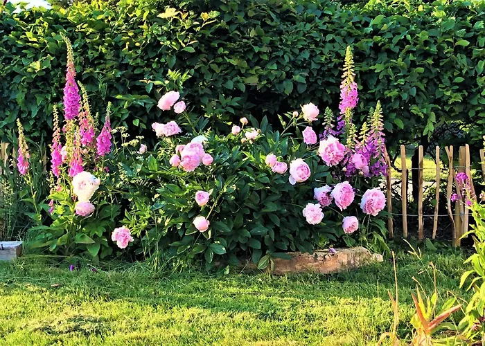 Wiesenblick In Appartement Suthfeld